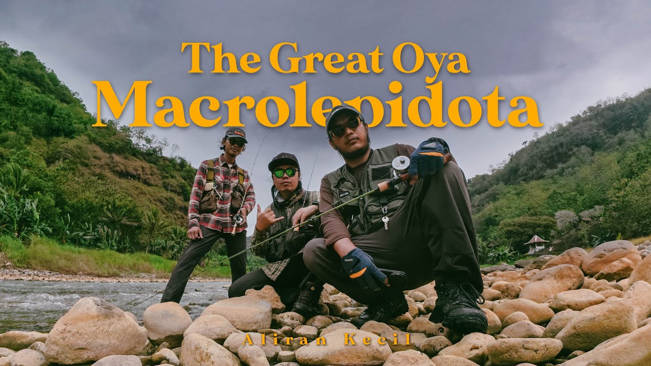 Jogja Stream Fishing | Hampala Macrolepidota Kali Oya