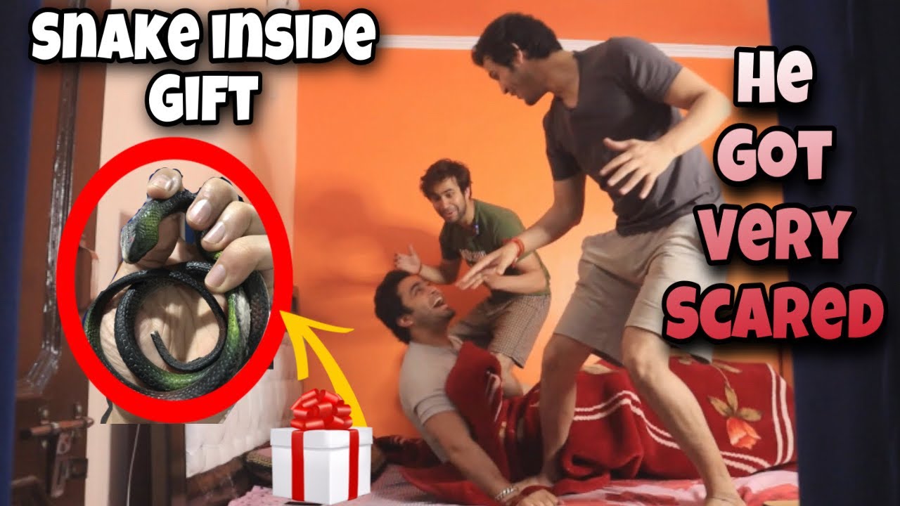 @Rohit Bamola or Maine Mast Snake🐍 surpise diya Anoop ko raat ko 12 bje🤣| DIALY VLOGS |