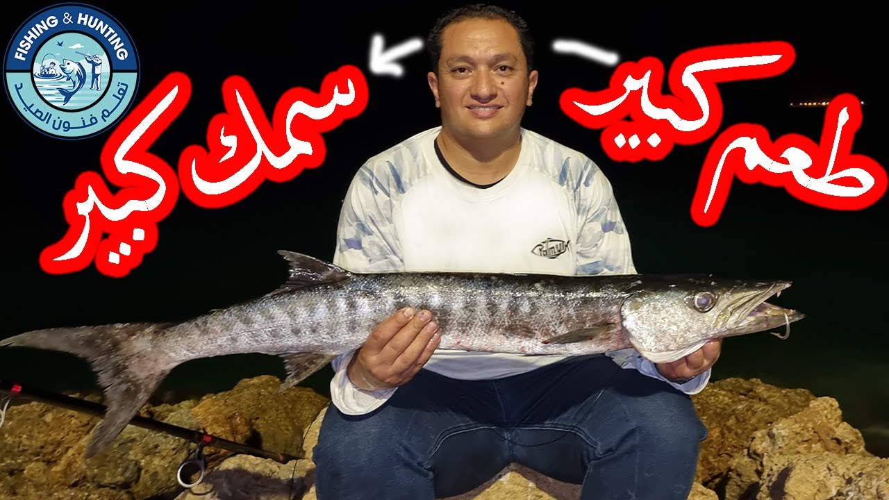 ارسال طعم كبير بالفليين لإستهداف الاسماك الكبيرة