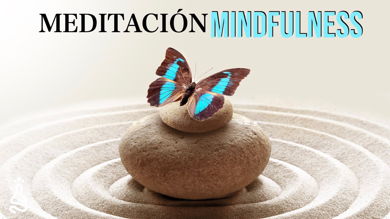 Mindfulness 💜  Paz Interior