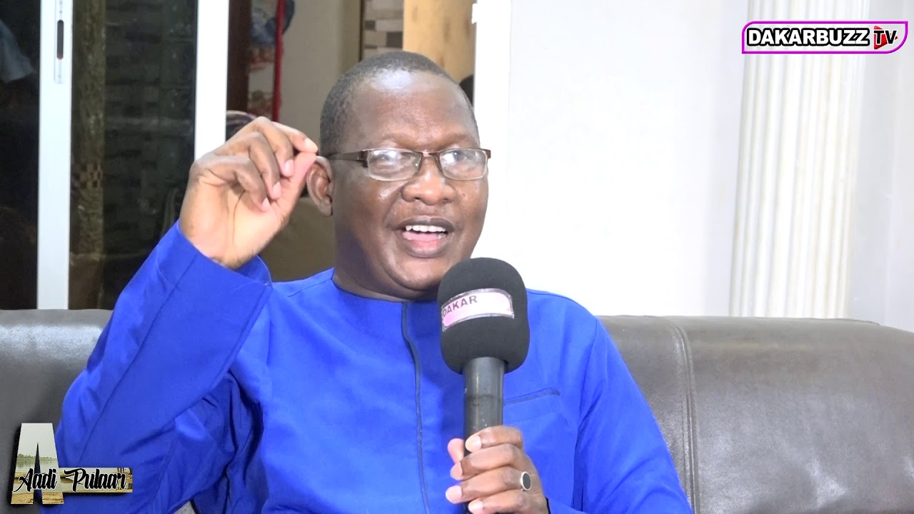 HAMET LY de la 2Stv dans Aadi Pulaar