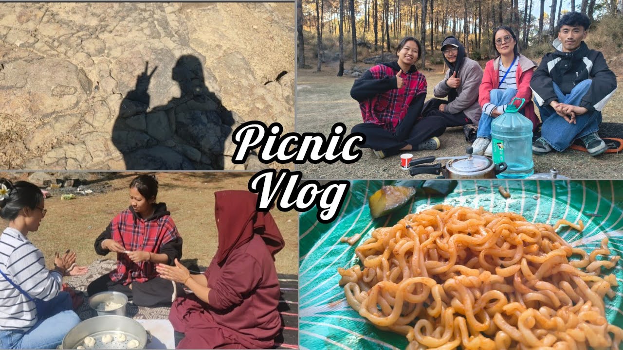Picnic vlog 🍂|| 