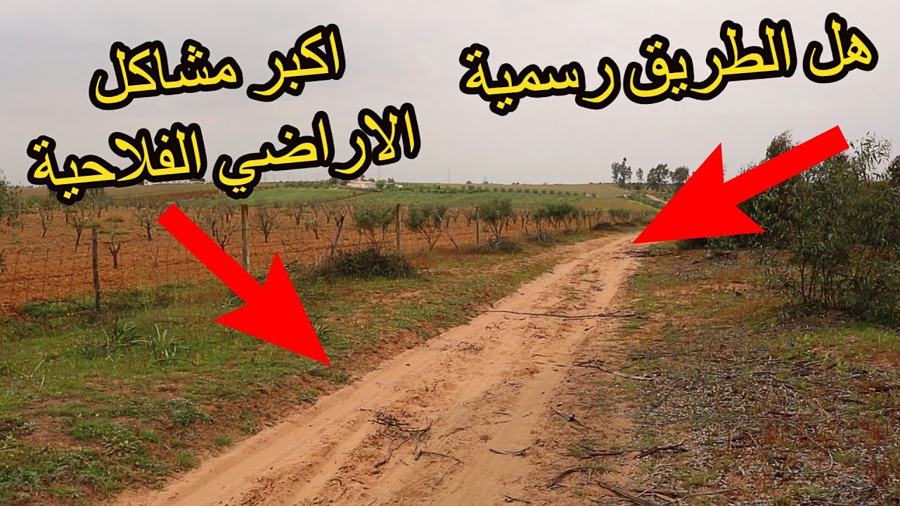 ✨  طريقة معرفة هل الطريق رسمية ام غير رسمية لكي لا يتم النصب عليك  ✨ تعلم مع فيرمات واراضي فلاحية