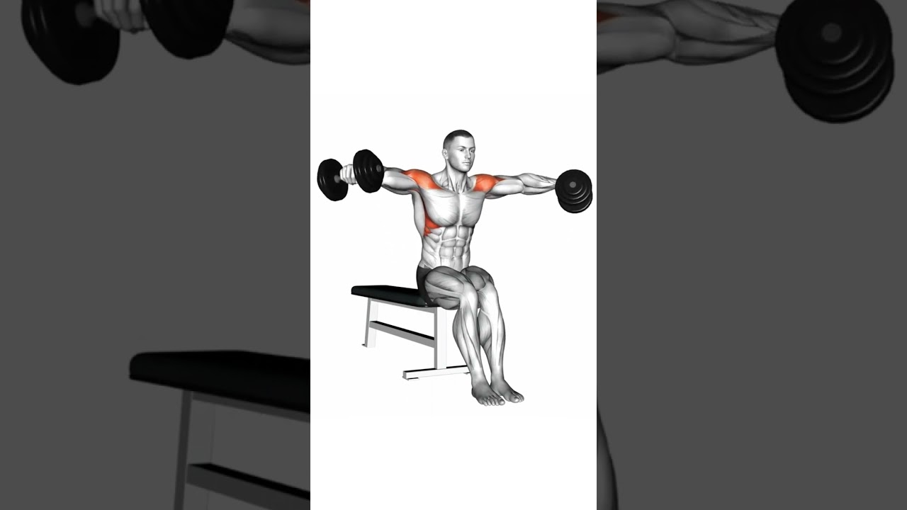 Schulter &Uuml;bungen mit Kurzhanteln f&uuml;r die GESAMTE Schulter - Schultertraining #schultertraining