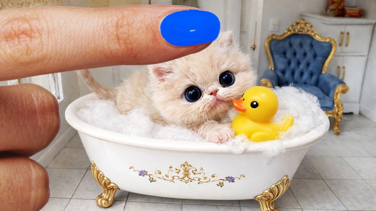 Реальная история о коте, воспитанном мышью. Спасли самого маленького котенка в мире.