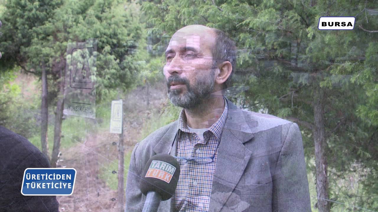 Üreticiden Tüketiciye-Elektrikli Tel Çit Sistemleri-Bursa