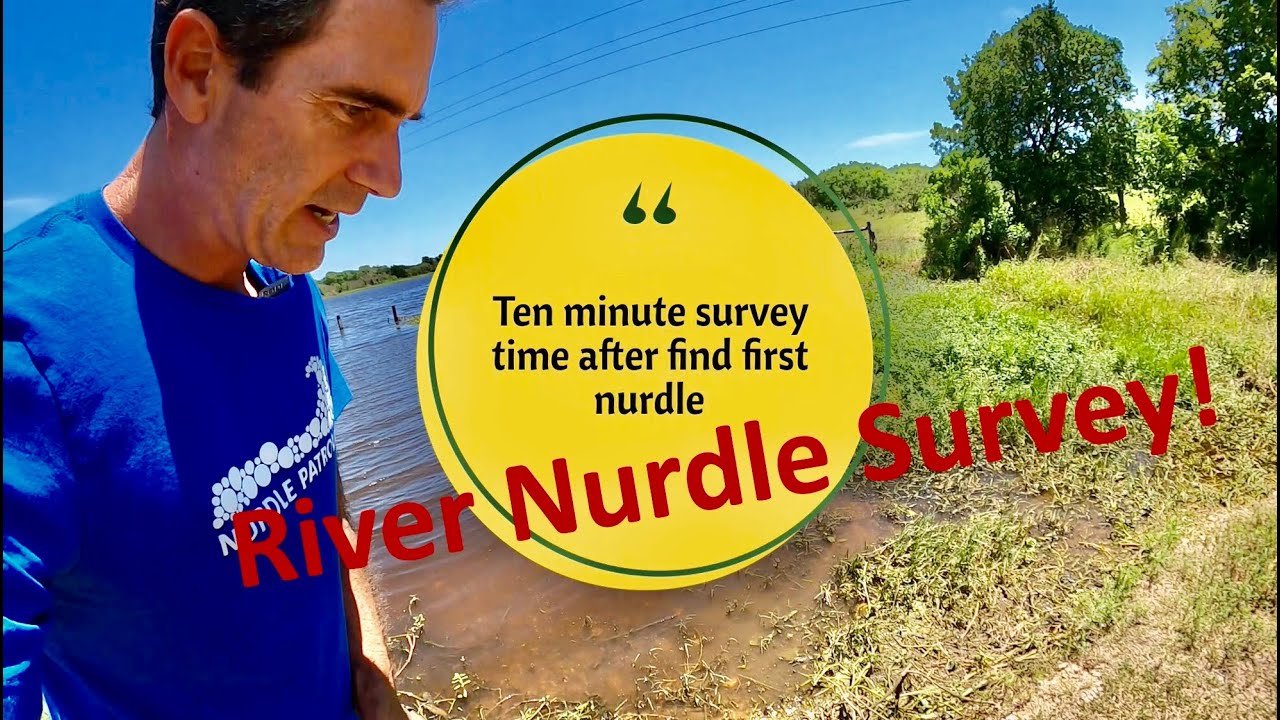 Nurdle Patrol RIVER SAMPLING - TRAINING