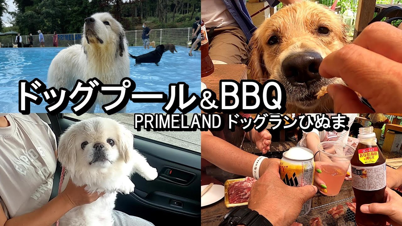 【GPラム】プールで泳いでBBQ【ぷぅ家&times;かも&times;ラム家】