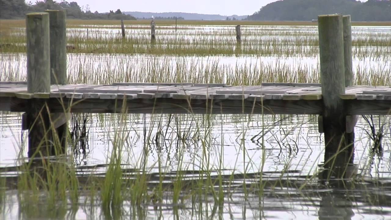 Hear from a pair of Eastern Shore watermen