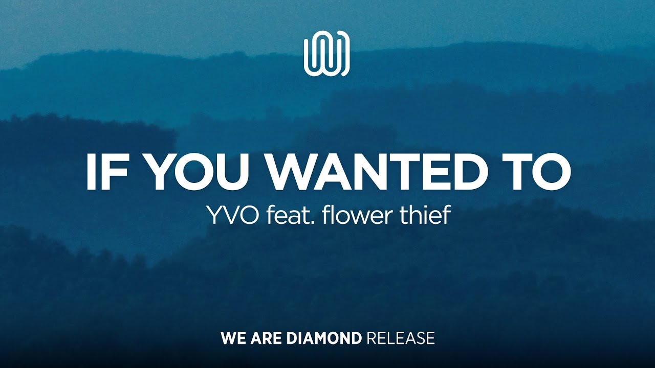 YVO - If You Wanted To (feat. flower thief)