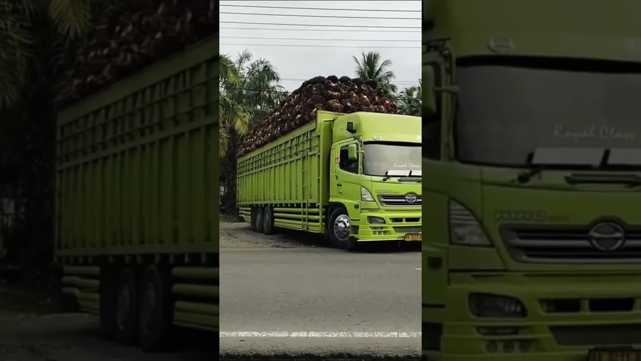 truk Hino sawit #lintasminang #automobile #djminangfullbass #jalanrayaminangsumbar