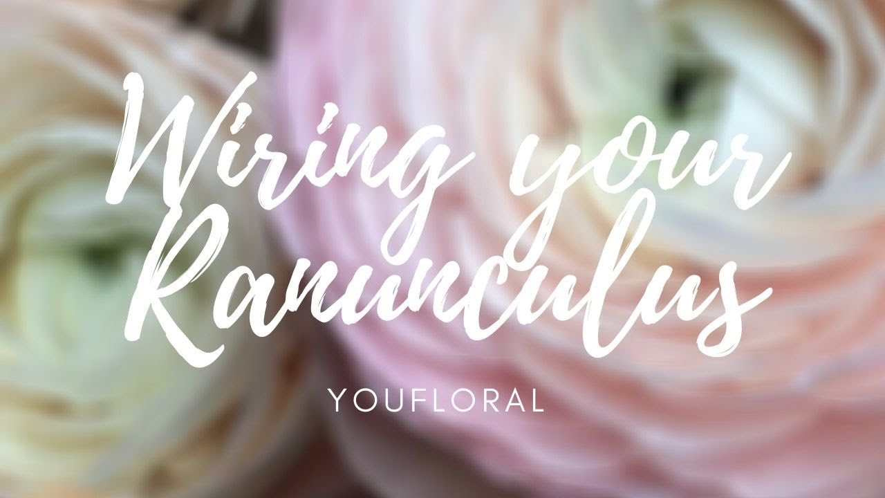 How to: Wire Ranunculus