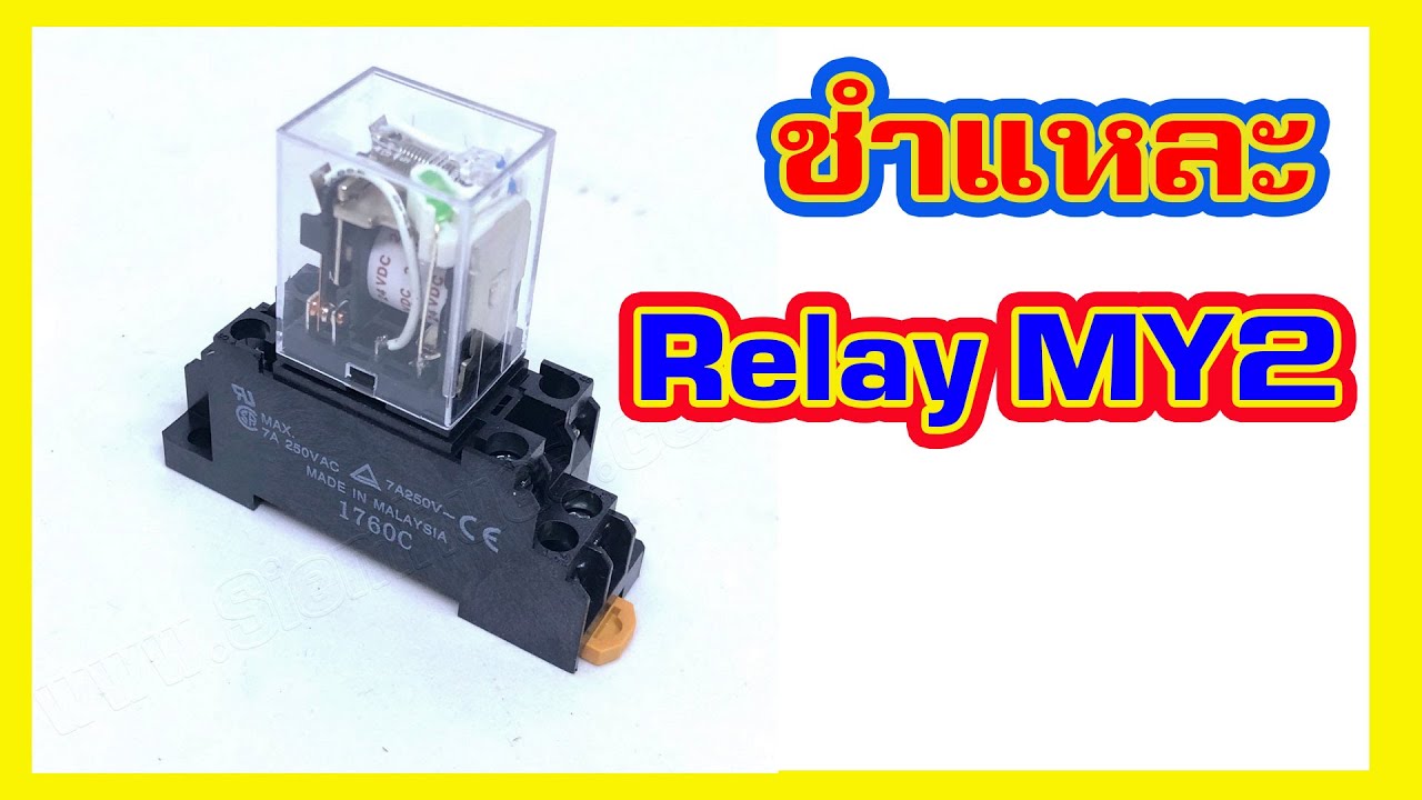 โครงสร้างและการทำงานของรีเลย์ MY2N