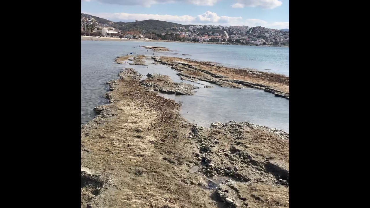 Bugün Seferihisar-Akarca sahilinden görüntüler🙋‍♂️