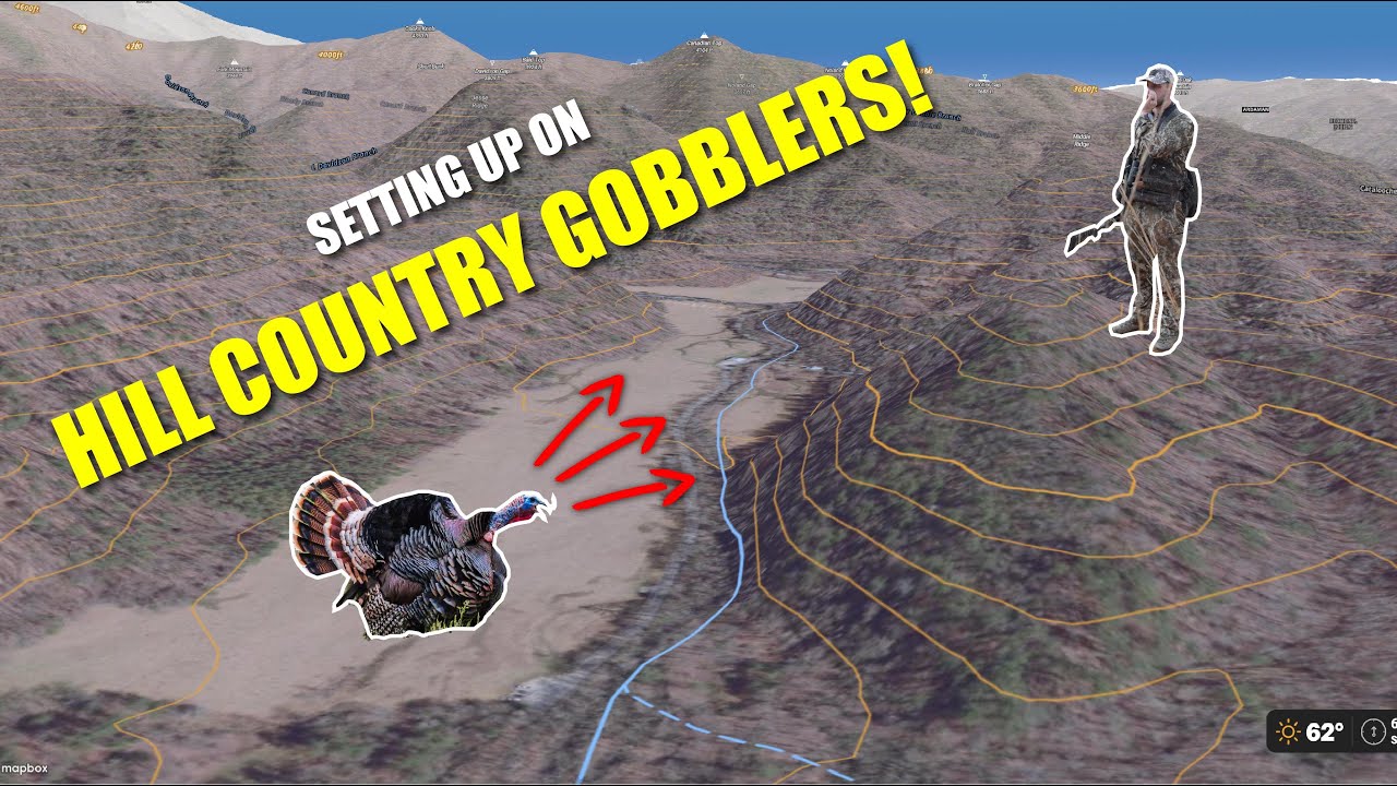 WHERE You Should SET UP TO TURKEY HUNT