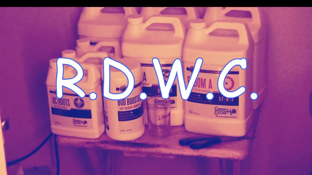 Bud Shots #2 R.D.W.C.