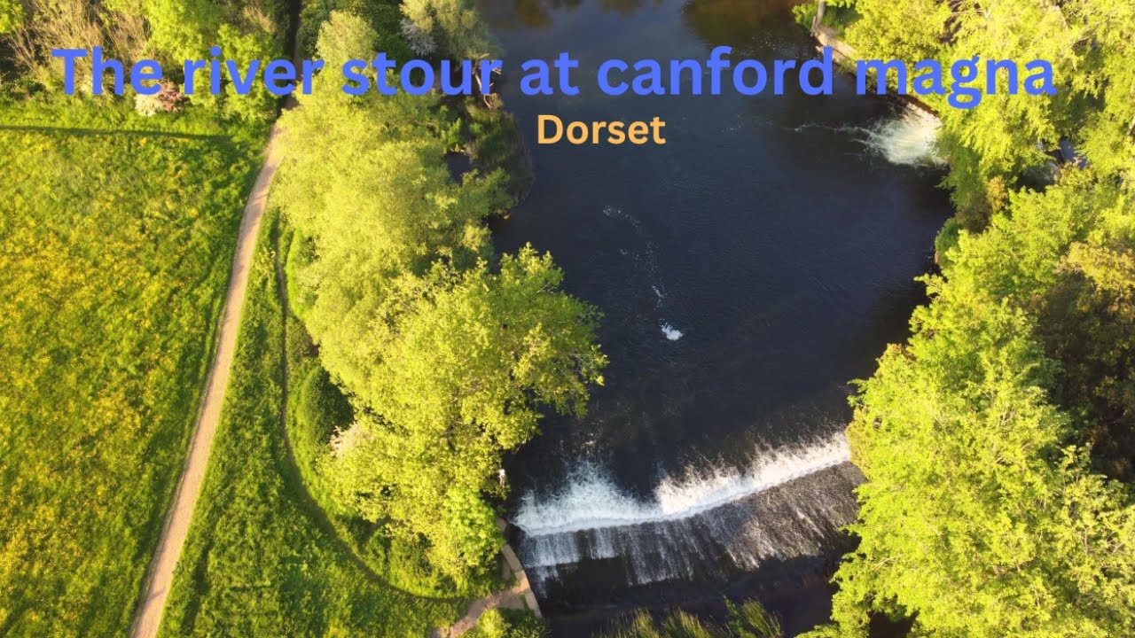 river Stour At Canford magna Dorset