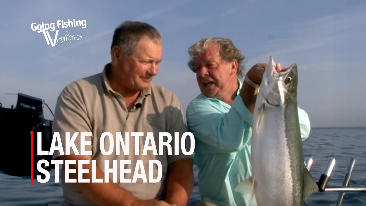Steelhead with Randy Scott on Lake Ontario's Blue Zone