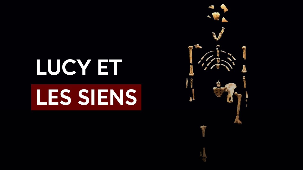 Lucy et les siens | Un série de conférences sur Lucy l'Australopithèque 4/5