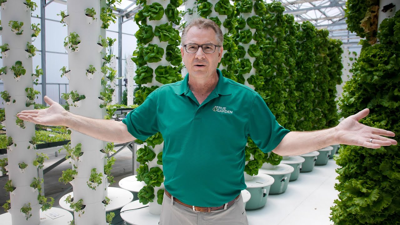 How Our Urban Greenhouse Saves Money and Reduces Energy Consumption | True Garden