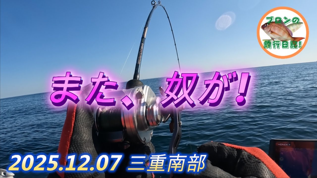 2025.12.07 三重南部でまた奴が来ました！