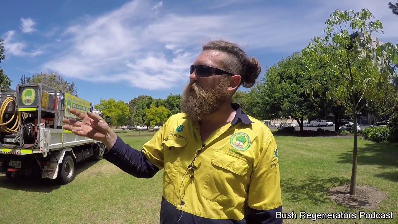 Biological Tree Preservation Part 1 Urban Tree Preservation