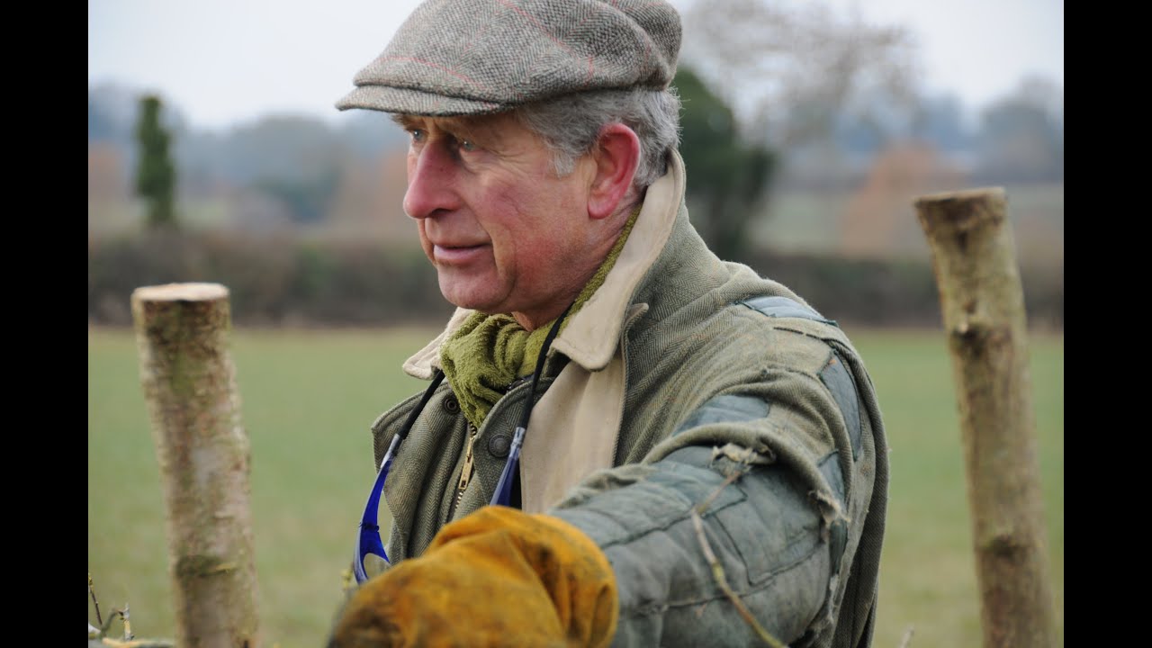 The Farmer and his Prince TRAILER