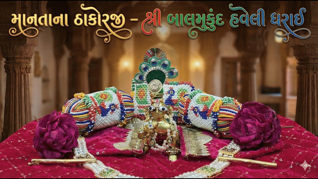 શ્રી બાલમુકુંદ હવેલી ધરાઈ | રોજ ચાલતું સદાવ્રત અને માનતાના ઠાકોરજી