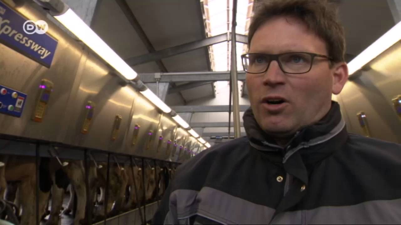 Vacas superproductoras y leche superbarata | Hecho en Alemania