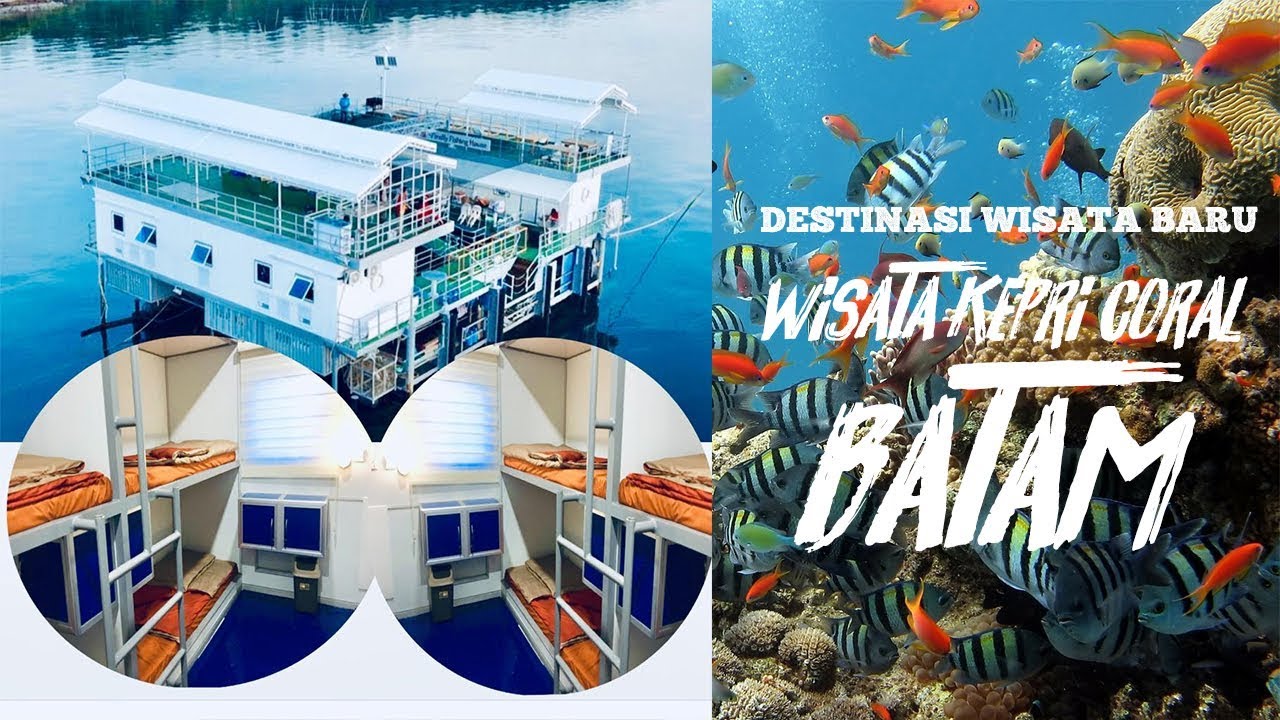 Wisata Kepri Coral, Pulau Pengalap, Pulau Abang, Batam