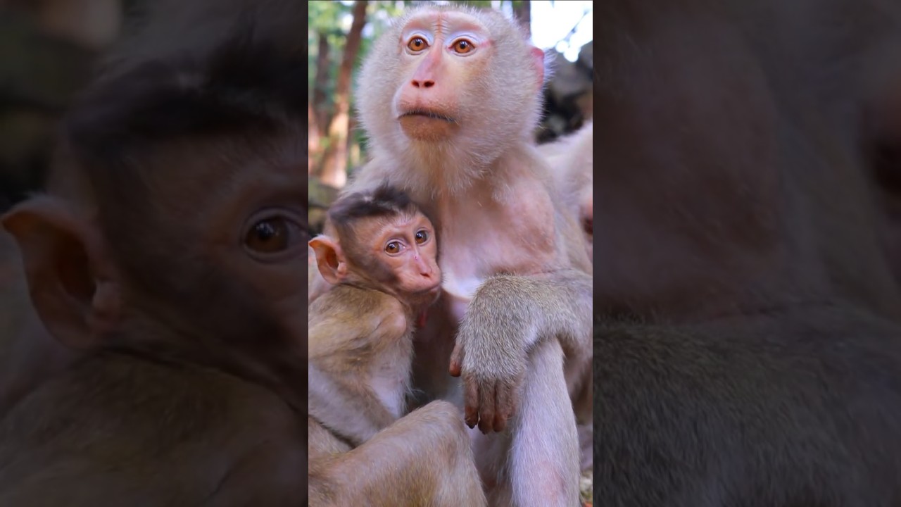 Lovely Mum Katrina Nursing Kendra