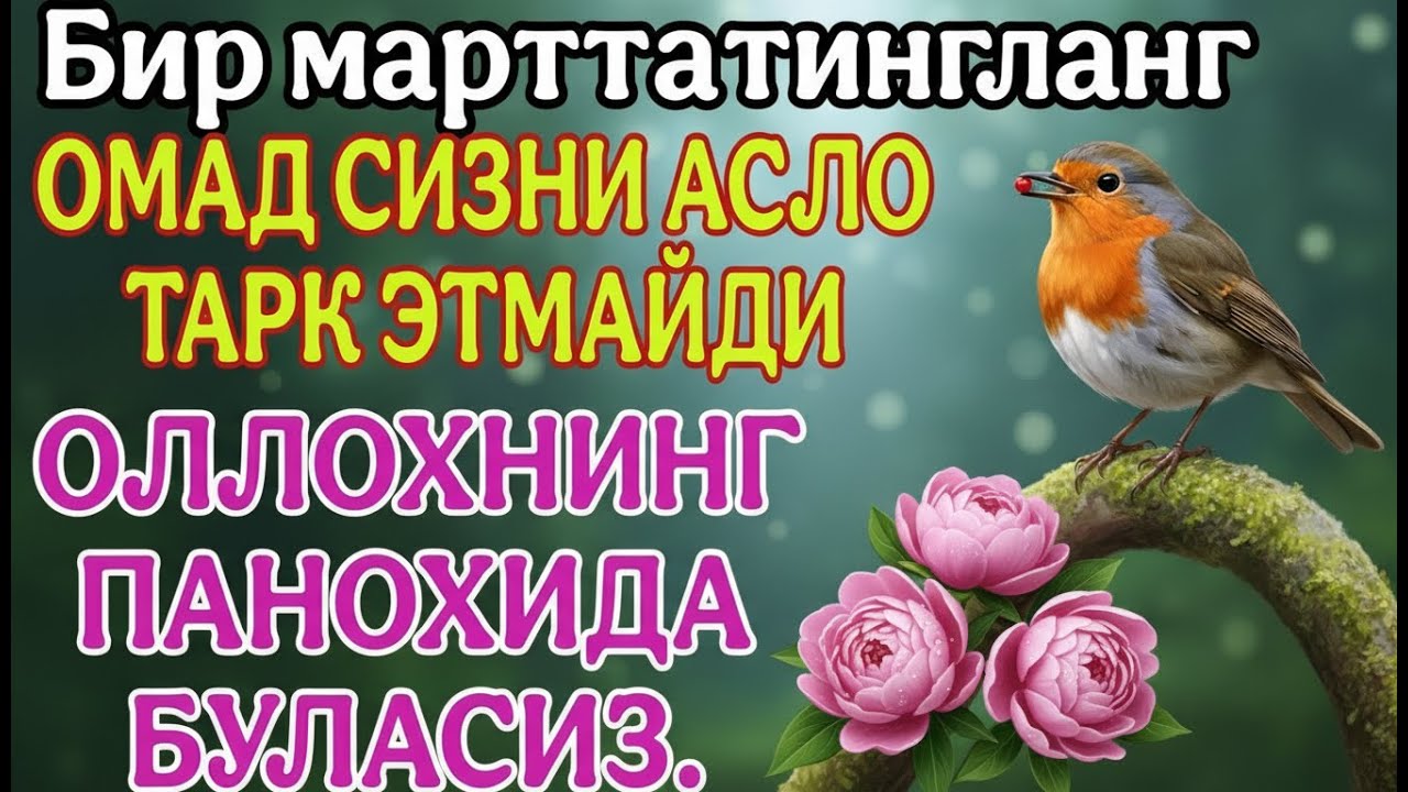 ОЛЛОХНИНИГ ПАНОХИДА БУЛАСИЗ ОМАД СИЗНИ АСЛО ТАРК ЭТМАЙДИ ИНШАОЛЛОҲ