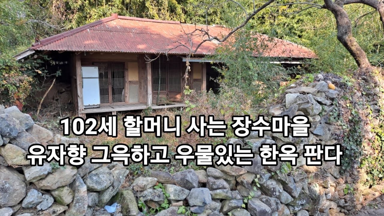 3천짜리 한옥 판다 남해바다 우물 유자나무 돌담이 정겨운 조용한 집