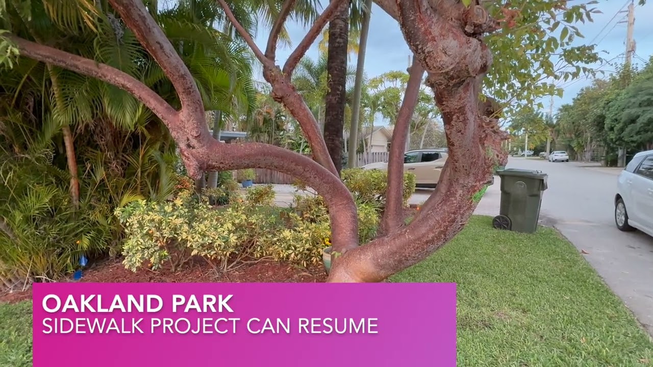 Judge Allows Oakland Park Sidewalk Project to Resume