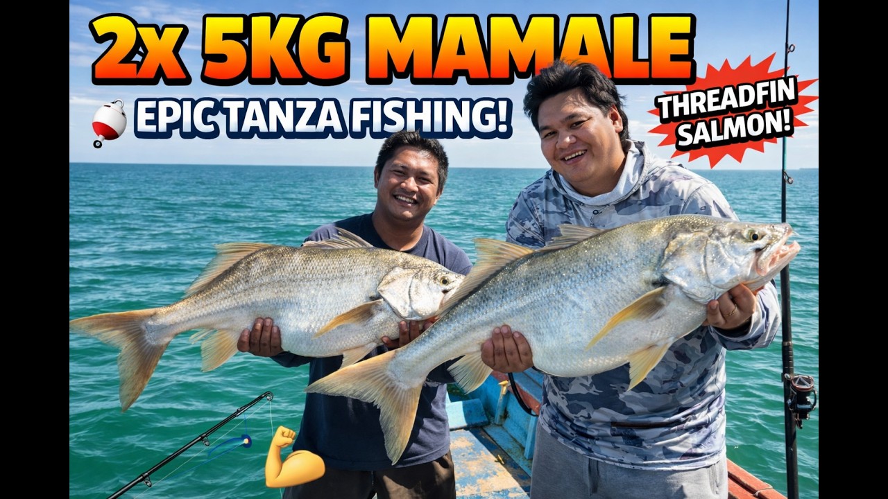 TANZA FISHING 2x 5KG MAMALE HARVEST SA SPOT