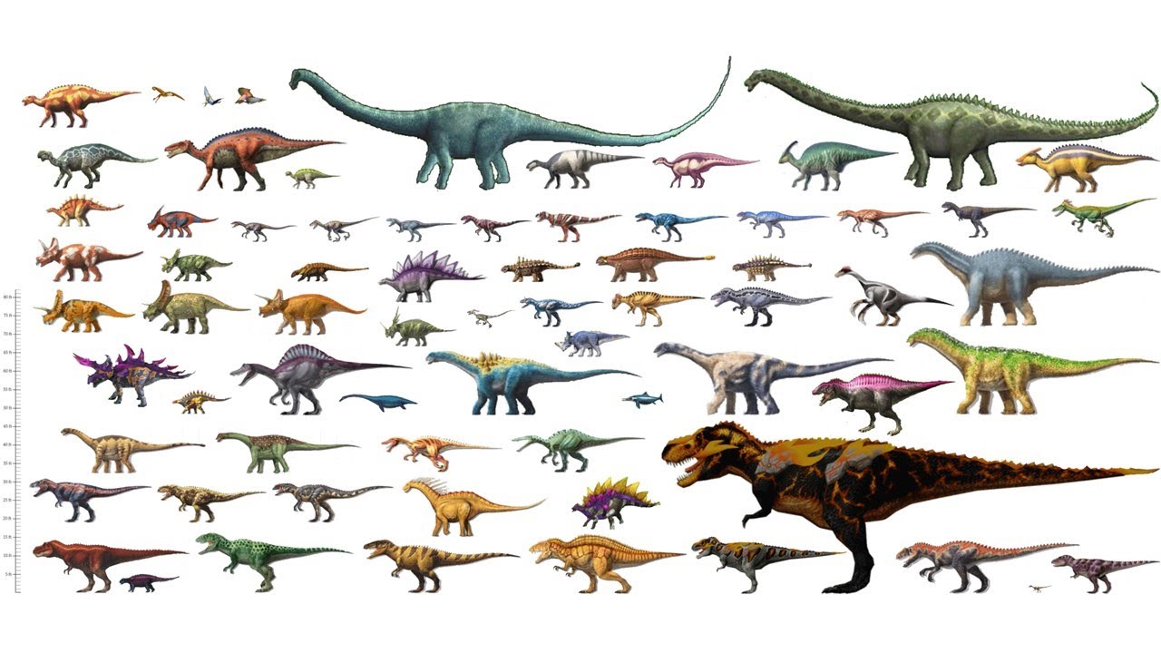 dinosaur king dinosaur size comparison