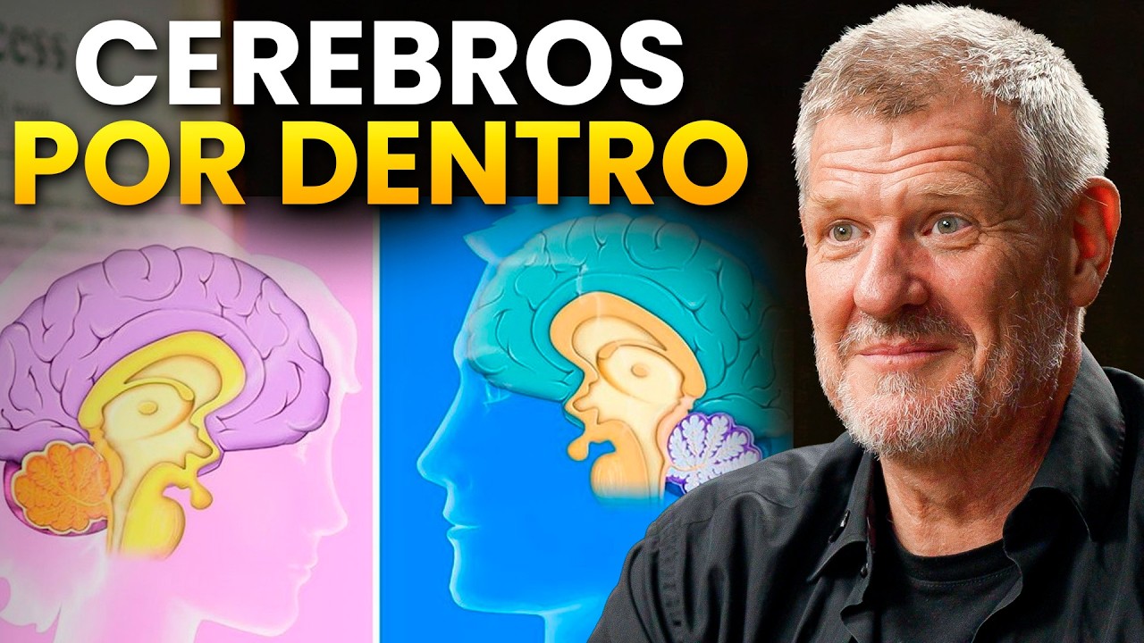 ¿Cómo Funciona el Cerebro?: “Ambos hemisferios son racionales y creativos”