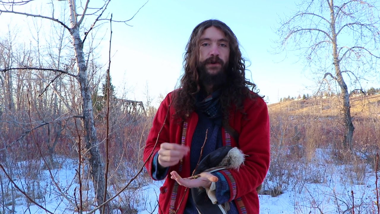 Foraging For Balm Of Gilead:  Poplar Bud
