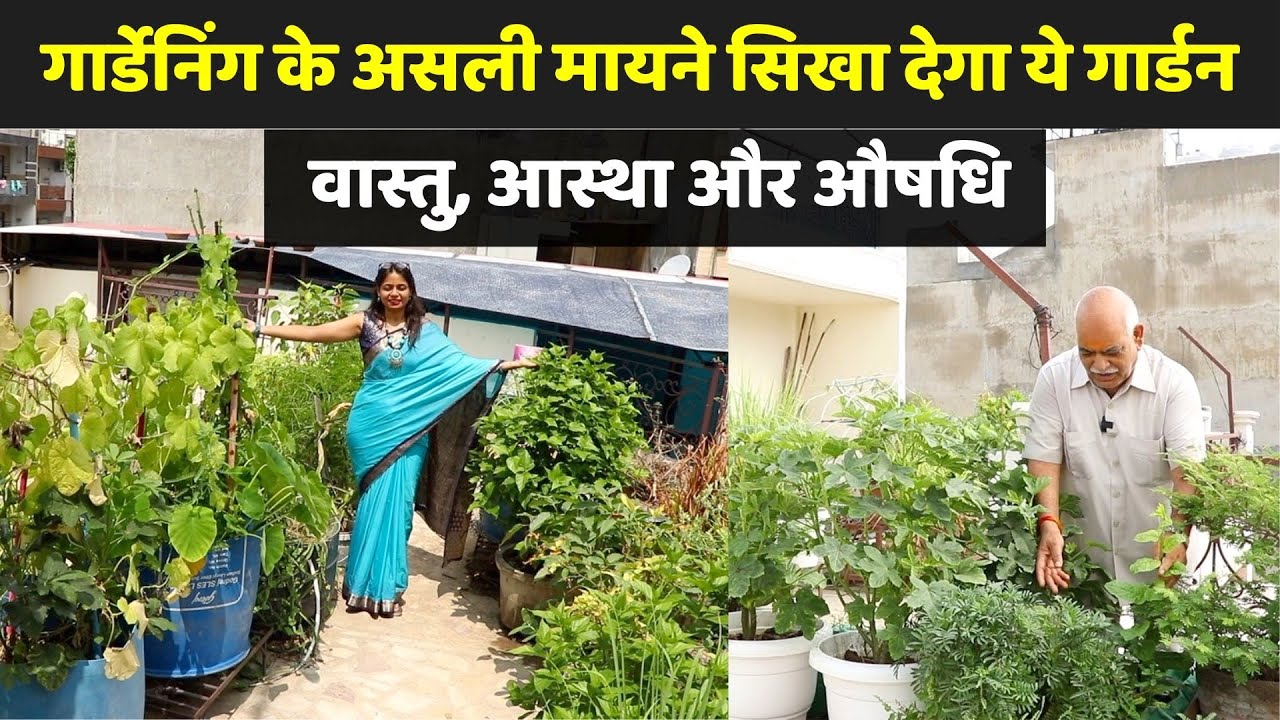 ये है असली Terrace Garden😍 जरूरत का हर पौधा है इस छत पर || Unique Farming