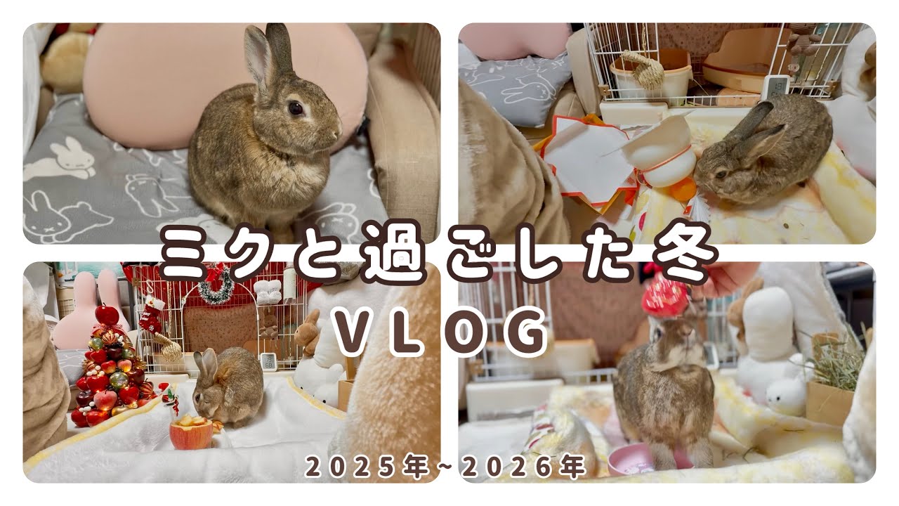 ミクと過ごした冬の思い出
