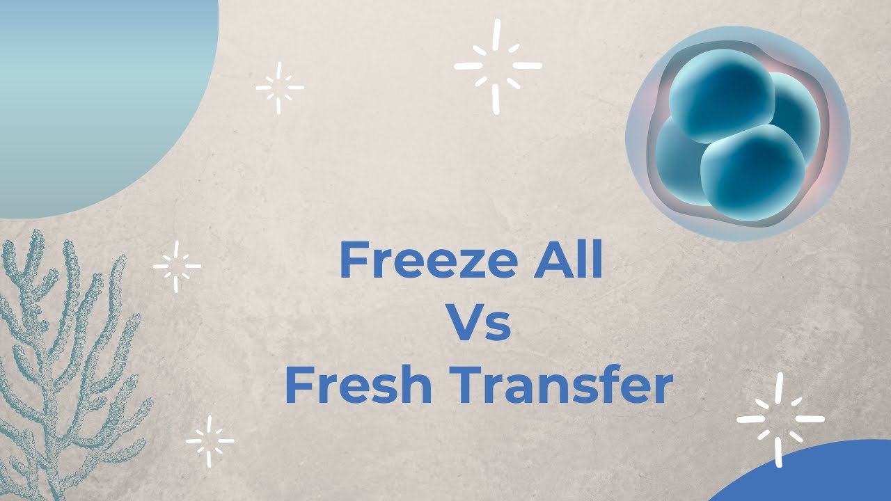 Freeze all vs Fresh transfer