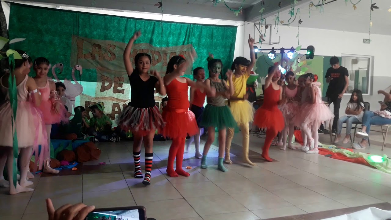 La media de los flamencos de 4to b