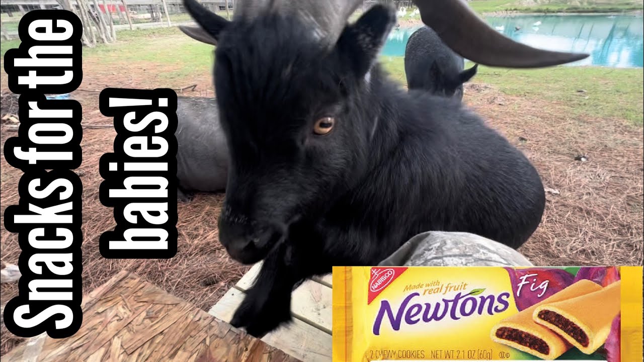 SnAcKs!!!