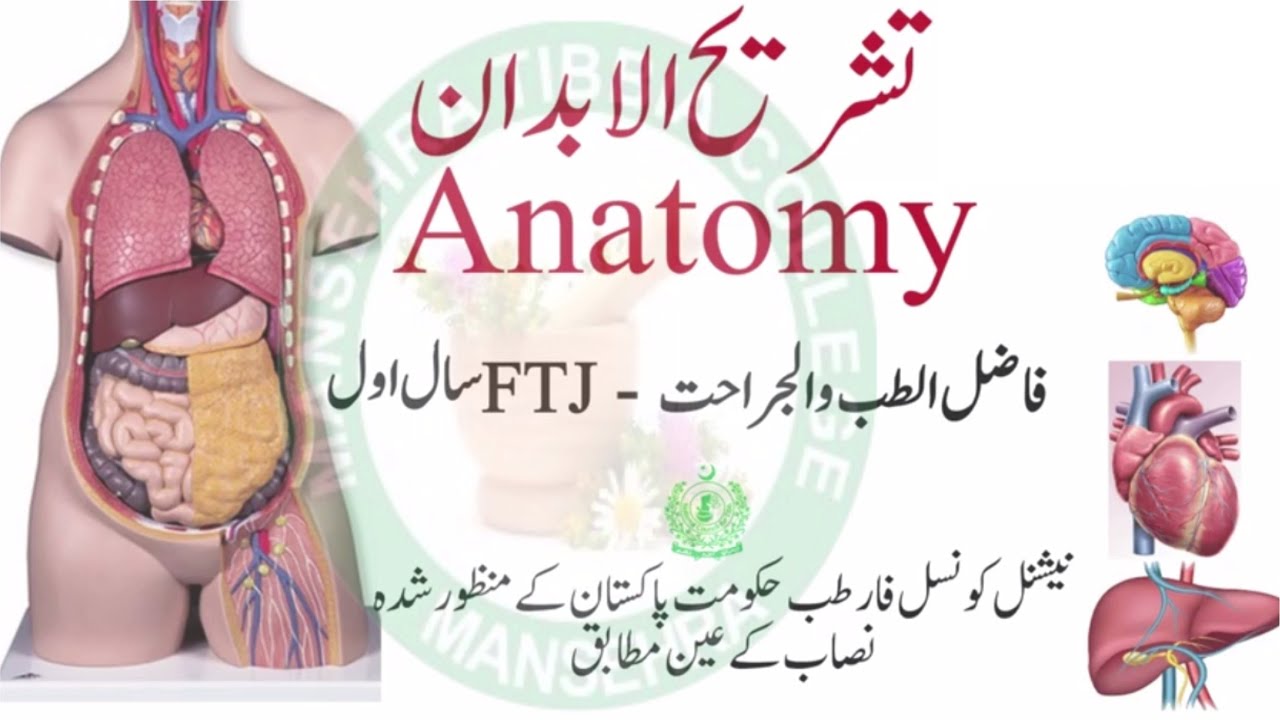 Anatomy Lecture 1 تشریح الابدان || Fazil tibb o Jarahat course (1st Year)|| Mansehra Tibbia College