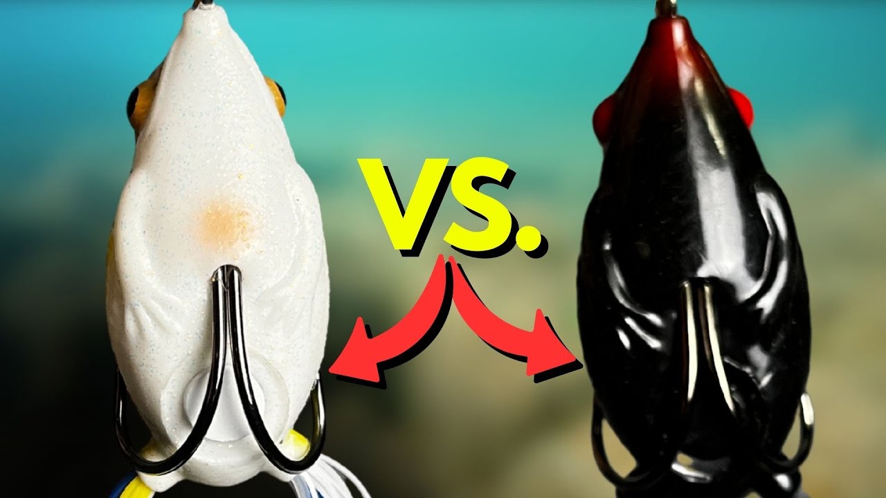 What UNDERWATER Footage SHOWS About Frog Fishing (Have You Tried This?)