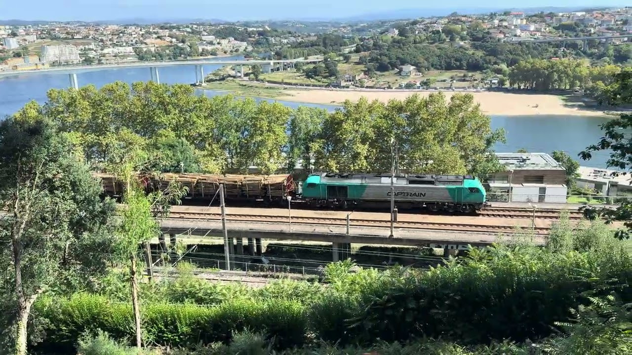 Freight train loaded with Logs. 