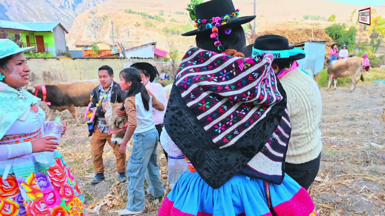 ACORIA /HUANCAVELICA / SANTIAGO DE LA FAMILIA # HUAMAN ALANYA #   PARTE (2)