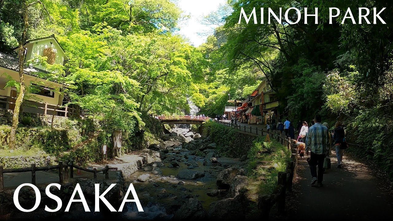 A walk inside the japanese park. Osaka. Minoh waterfall. The spring foliage.
