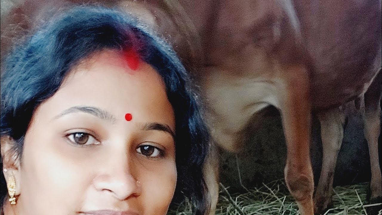 kalyani  vlogs is live