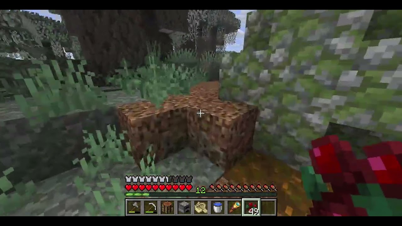 Minecraft OYUNU BİTİRMEYE ÇALIŞIYORUM PART2 (HİÇ KASILAMADIM😫)